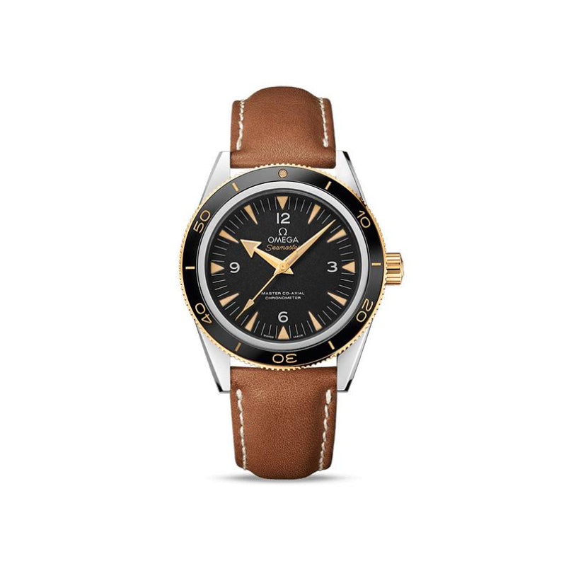 OMEGA Seamaster Seamaster 233.22.41.21.01.001 - Premium Luxury Product