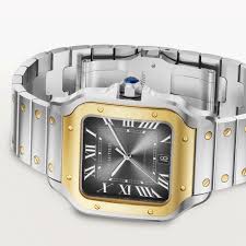 Cartier Santos de Cartier Stainless Steel & 18K Yellow Gold Men's Watch - Premium Luxury Product