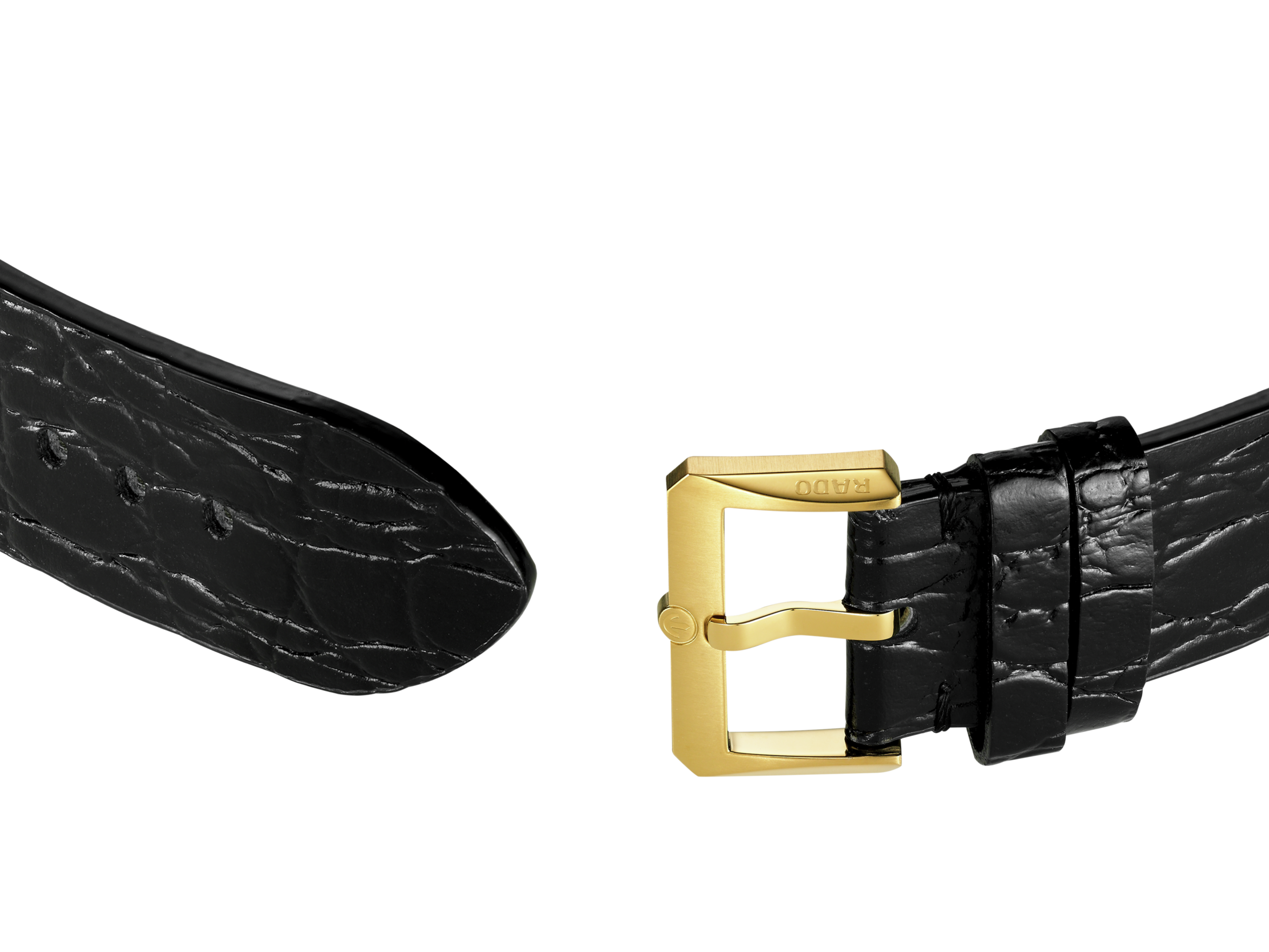 Captain Cook x Marina Hoermanseder Heartbeat R32117708