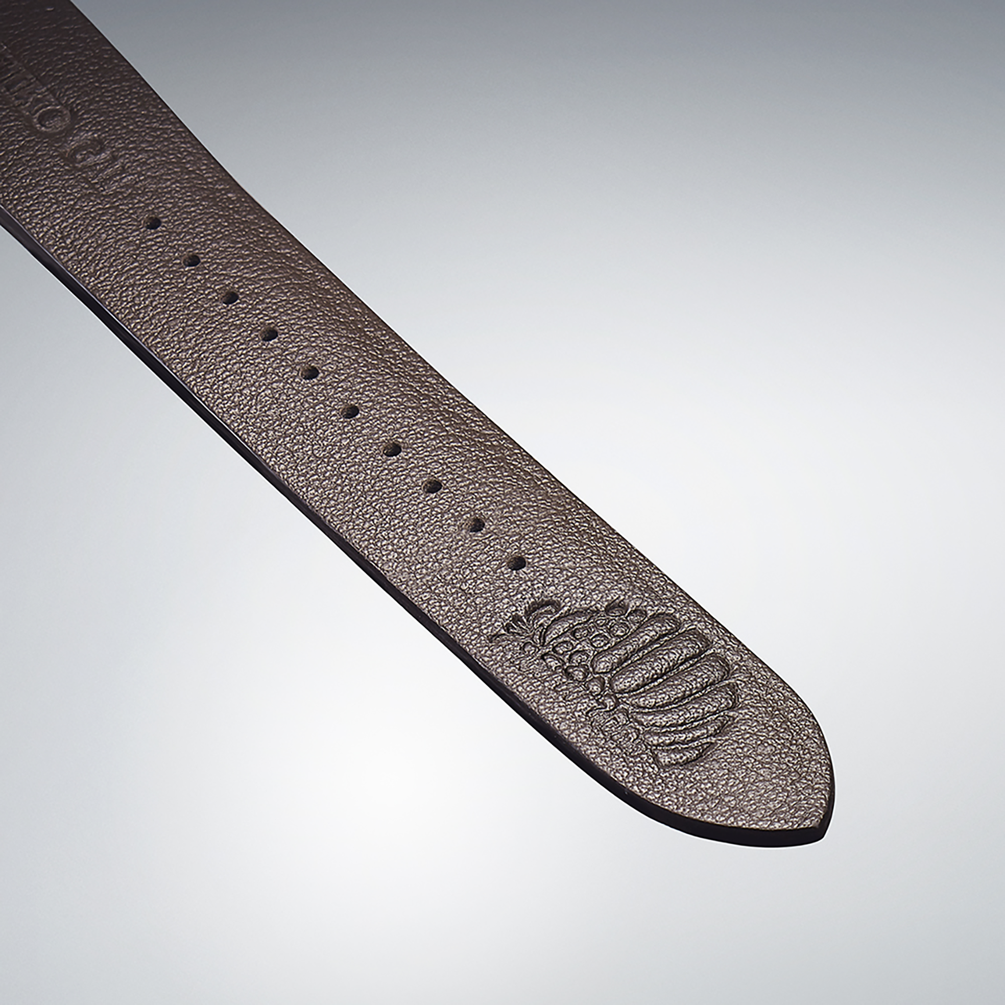 PRESAGE CRAFTSMANSHIP SERIES "NAUSICAÄ IN THE VALLEY OF THE WIND" LIMITED EDITION SPB437