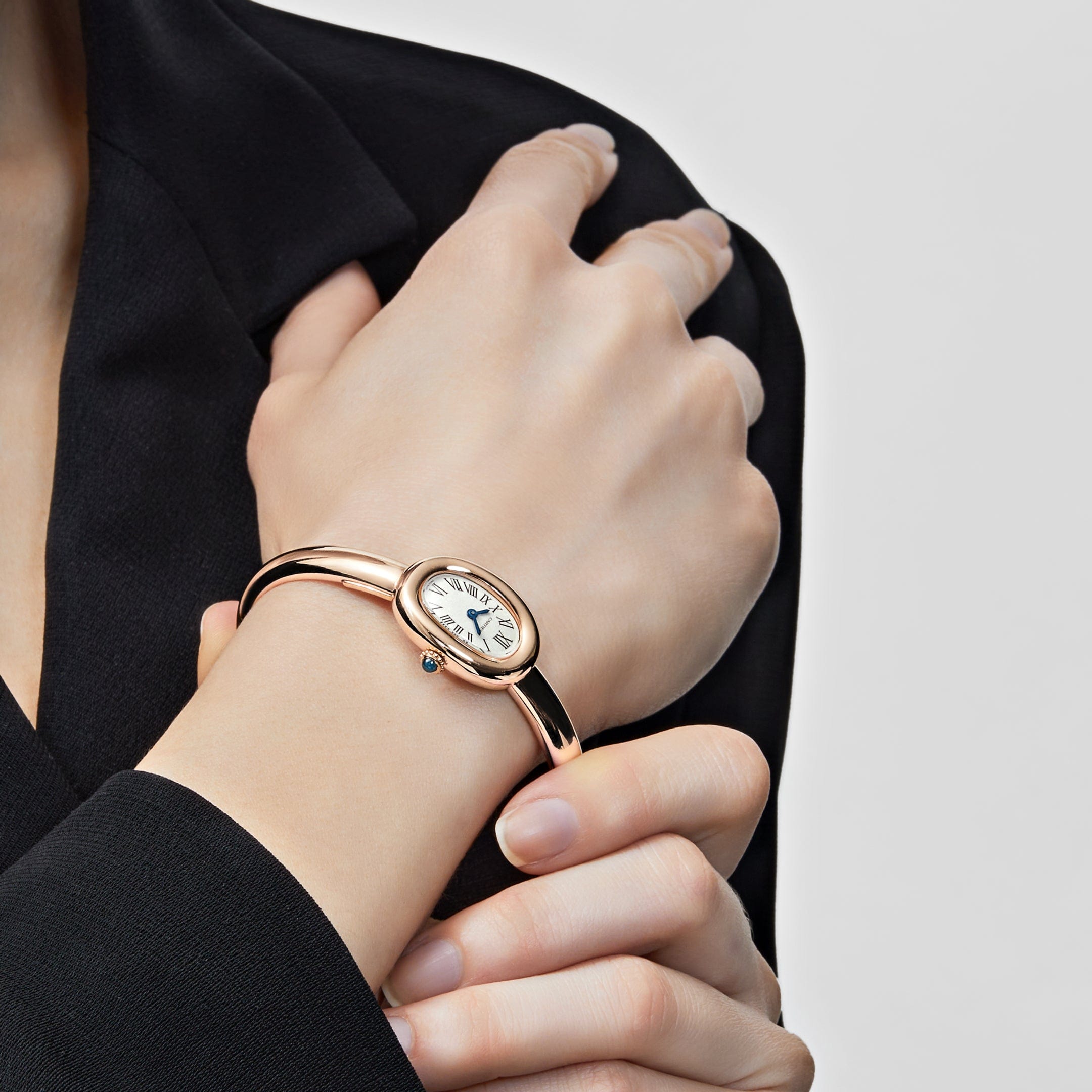 Cartier Baignoire WGBA0019 Rose Gold Quartz (2024) - Premium Luxury Product