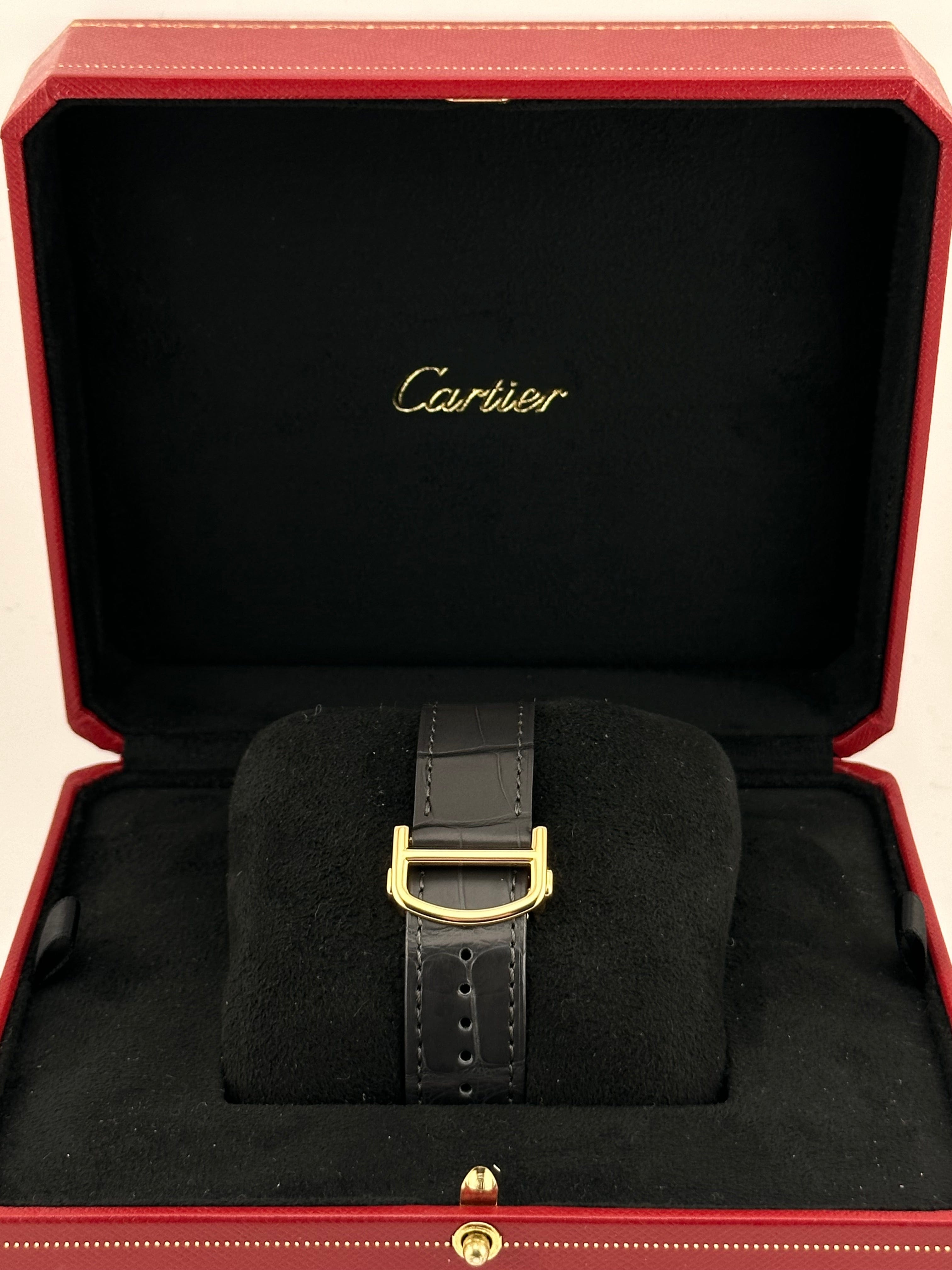 Cartier Pasha WGPA0007 Yellow Gold Large Model (2020) - Premium Luxury Product