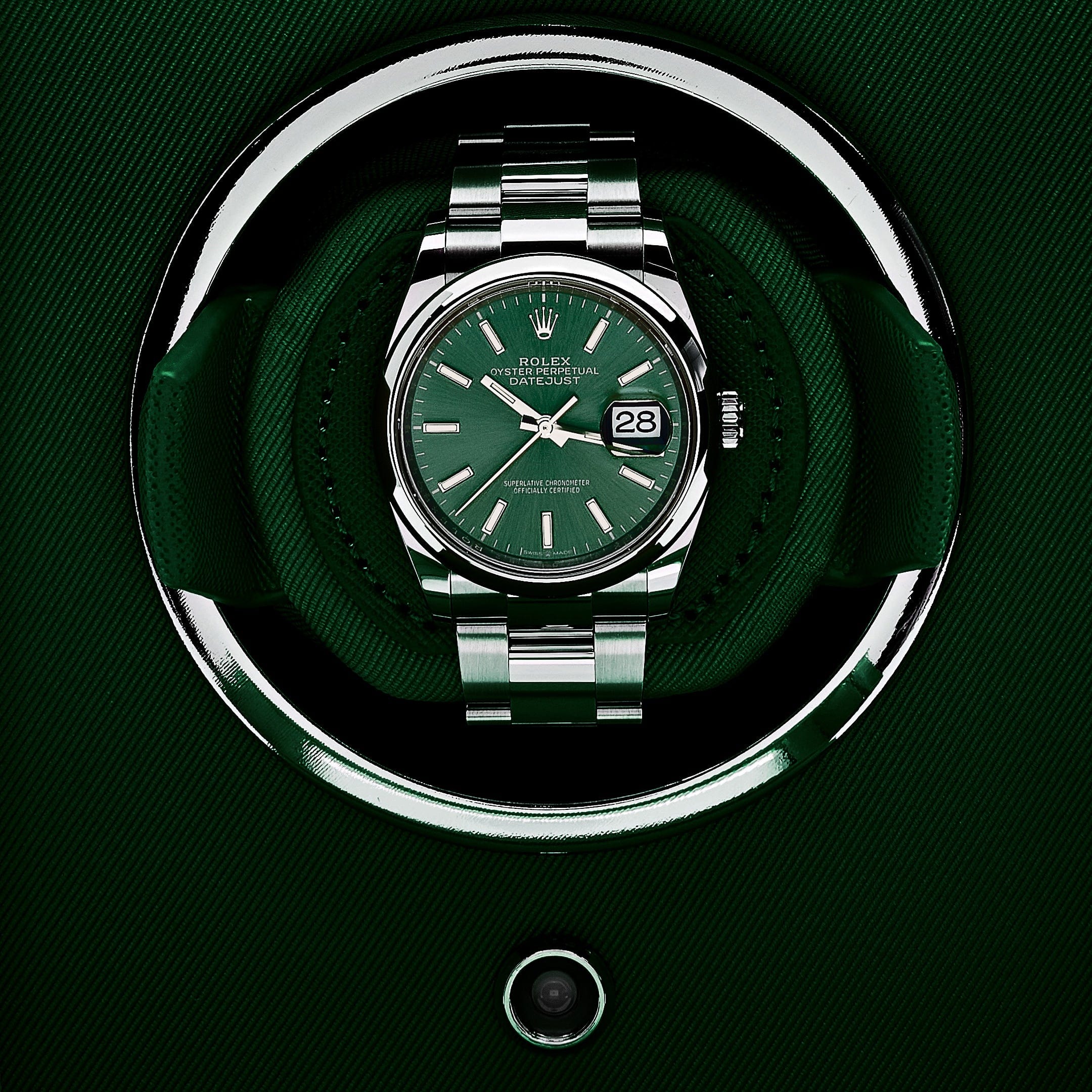 Cub Single Watch Winder with Cover - Green