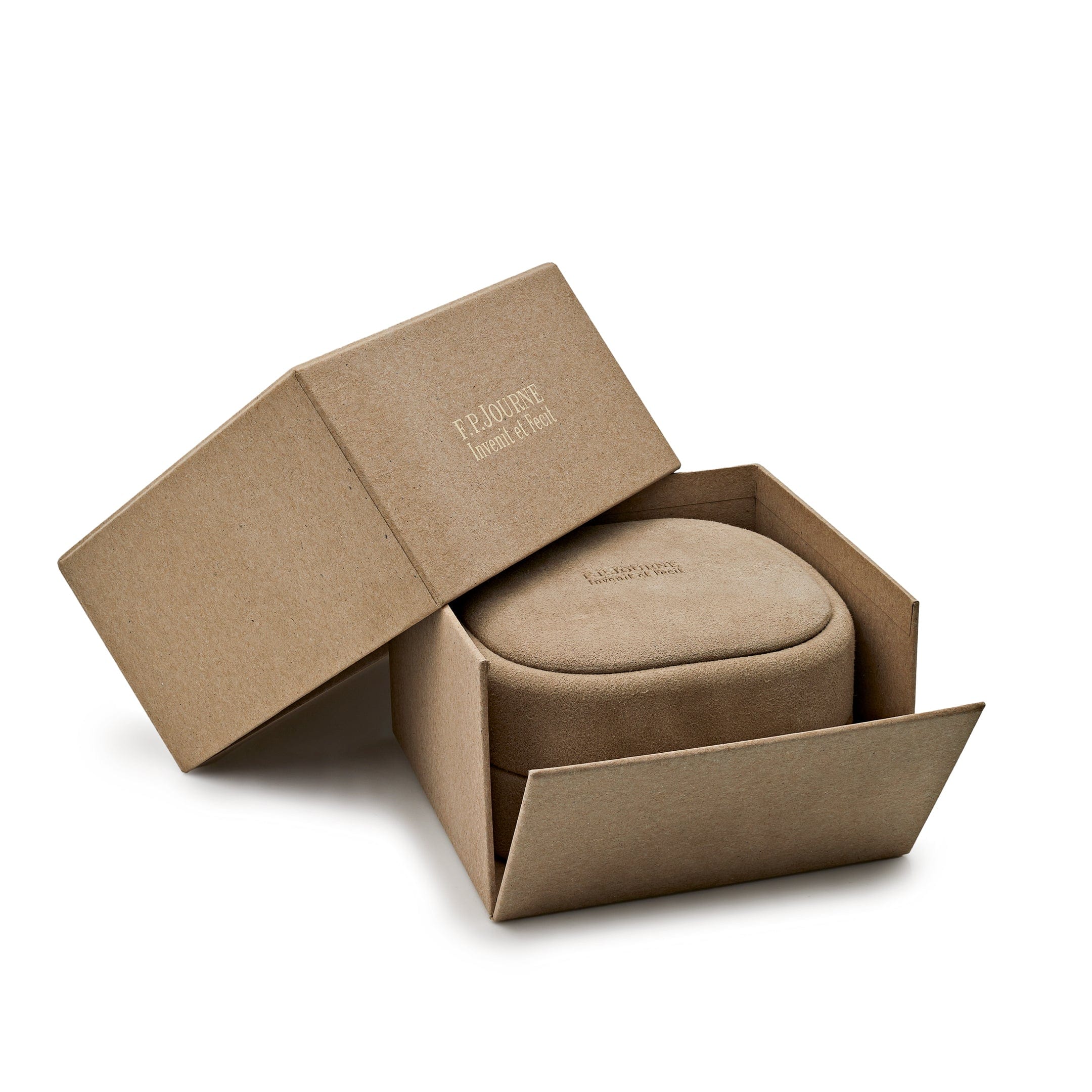 F.P. Journe Élégante 48 Titanium Luminescent White Dial - Premium Luxury Product