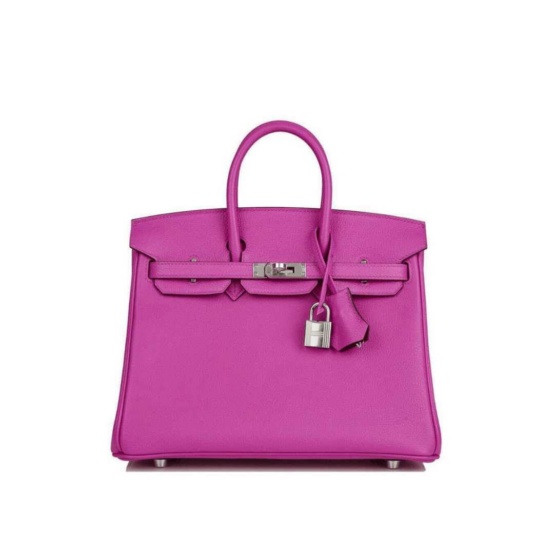 Hermès Birkin 25 Novillo Leather Verso Magnolia/ Capucine Palladium Hardware